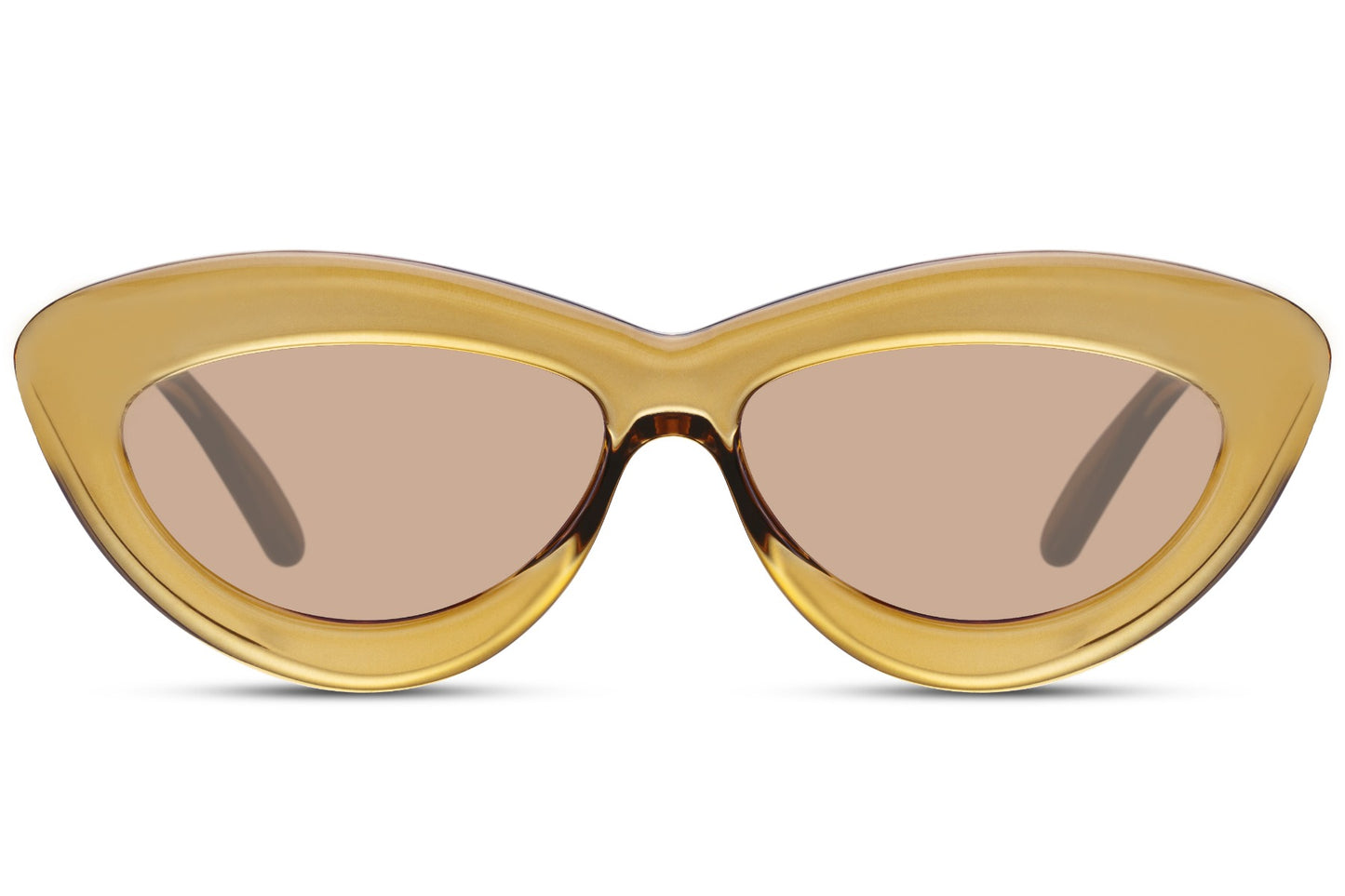 Vaskebjørn hurtigbriller med guld glas og guld stel set fra fronten