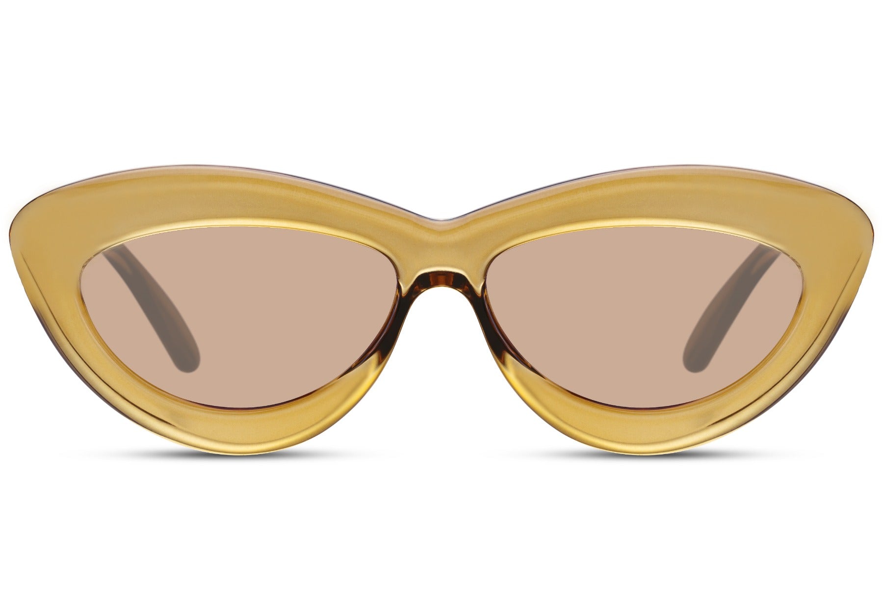 Vaskebjørn hurtigbriller med guld glas og guld stel set fra fronten